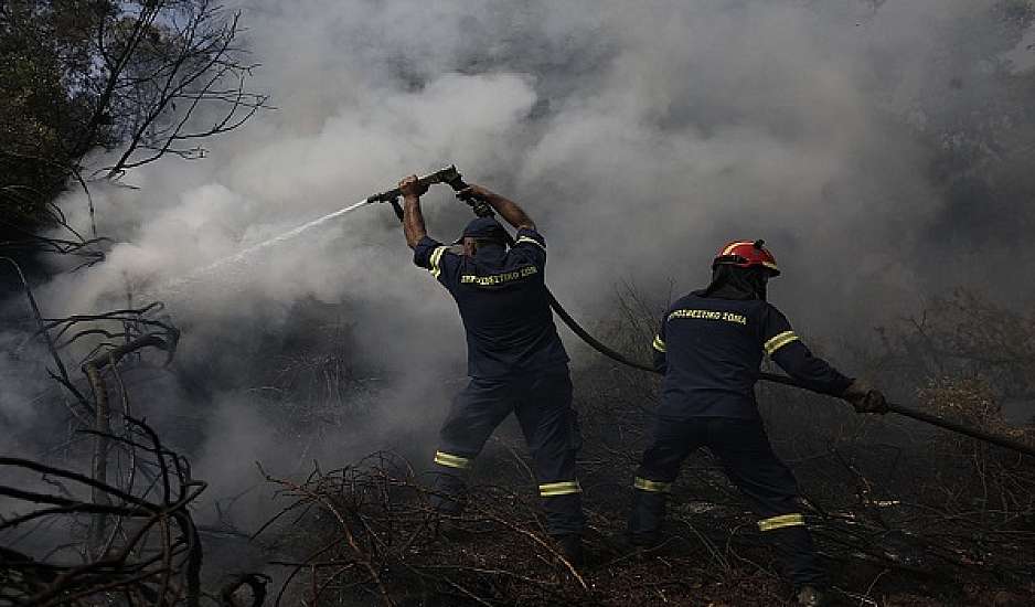 Φωτιές: Μάχη με τις αναζωπυρώσεις σε Έβρο, Πάρνηθα και Βοιωτία