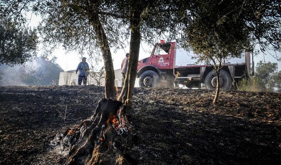 Ηλεία: Σε χαράδρα μαίνεται η φωτιά στην Αμαλιάδα