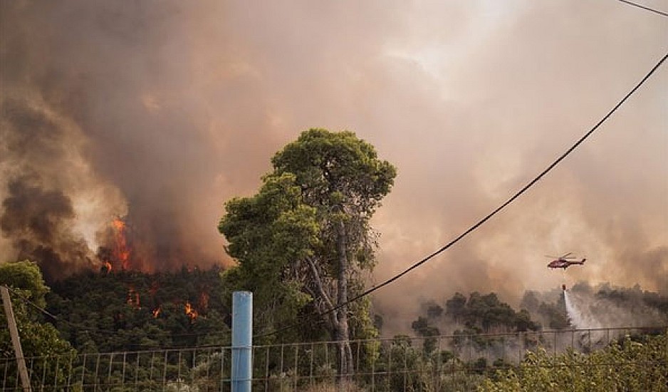 Φωτιά στην Αμαλιάδα: Σε χαράδρα δίνουν οι Πυροσβέστες τη μάχη με τις φλόγες