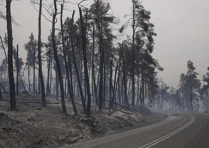 Φωτιά στην Φθιώτιδα: Σε κρίσιμη κατάσταση 67χρονος που πήγε να σώσει τα μελίσσια του