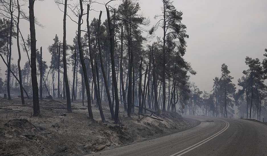 Φωτιά στην Φθιώτιδα: Σε κρίσιμη κατάσταση 67χρονος που πήγε να σώσει τα μελίσσια του