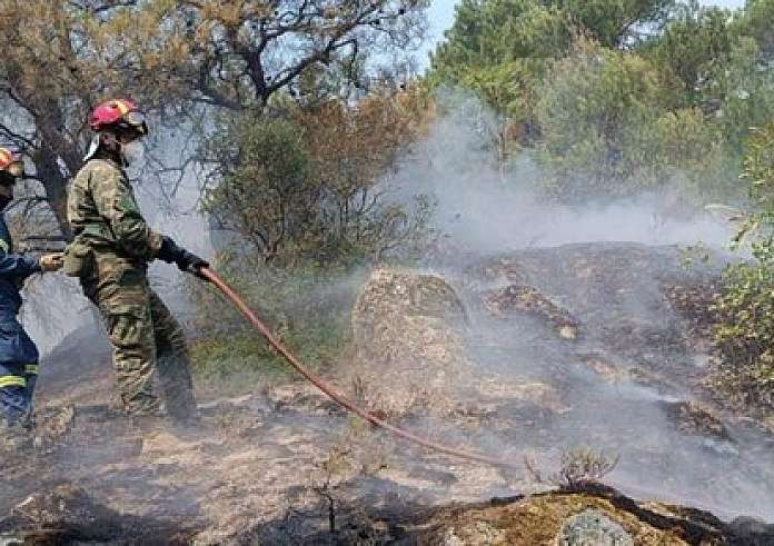 Πυρκαγιά στη Βοιωτία: Νεκρός βοσκός που προσπάθησε να σώσει τα ζώα του