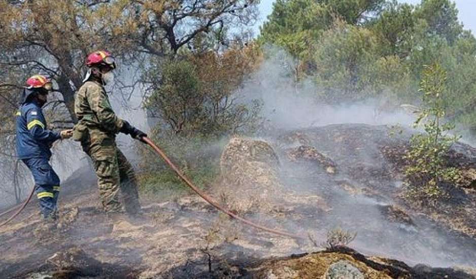 Πυρκαγιά στη Βοιωτία: Νεκρός βοσκός που προσπάθησε να σώσει τα ζώα του