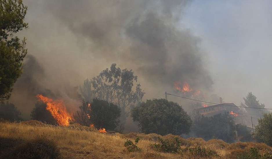 Aνεξέλεγκτες οι φωτιές σε Κερατέα και Βίλια: Μάχη για σπίτια και Εθνικό Δρυμό Σουνίου - Υπόνοιες για εμπρησμό