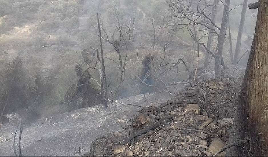 Συνελήφθη 54χρονος για τη φωτιά στα Χανιά
