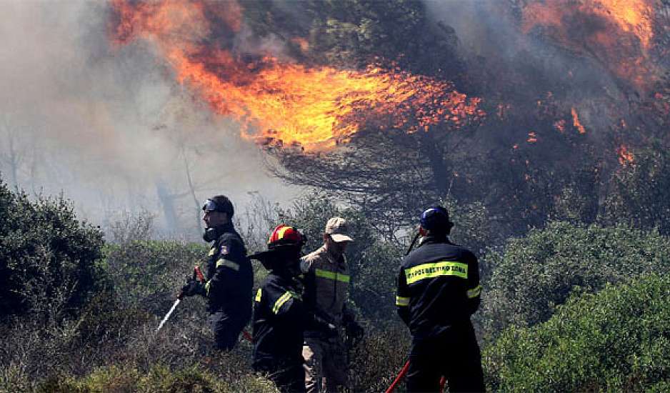 Νέα πύρινα μέτωπα σε Λάρισα, Λακωνία, Κέρκυρα