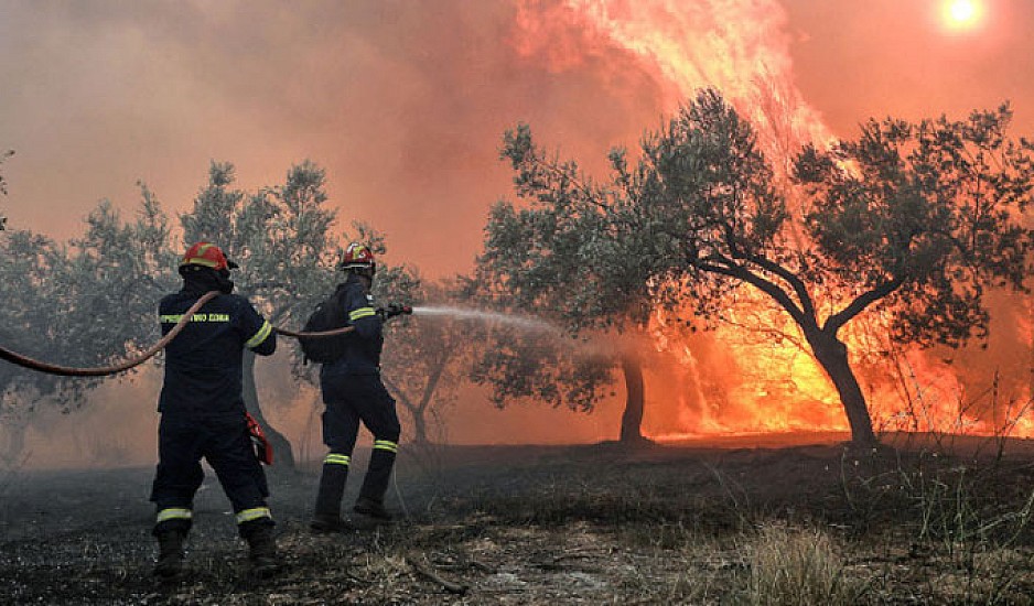 Φωτιά στην Ηλεία: Νέο πύρινο μέτωπο στη Ζαχάρω – Στις φλόγες οι Σχίνοι