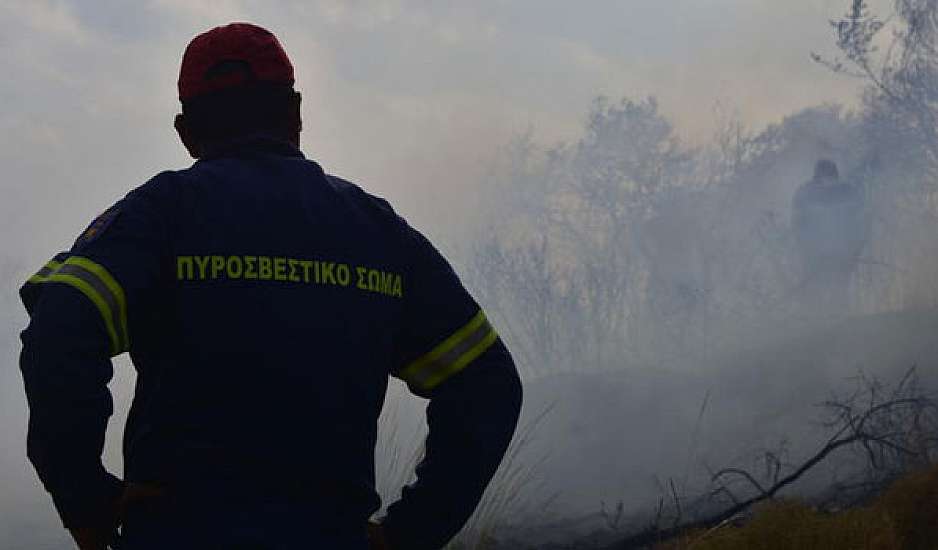 Σε ύφεση η φωτιά στην περιοχή Φλόκα της δυτικής Αχαΐας