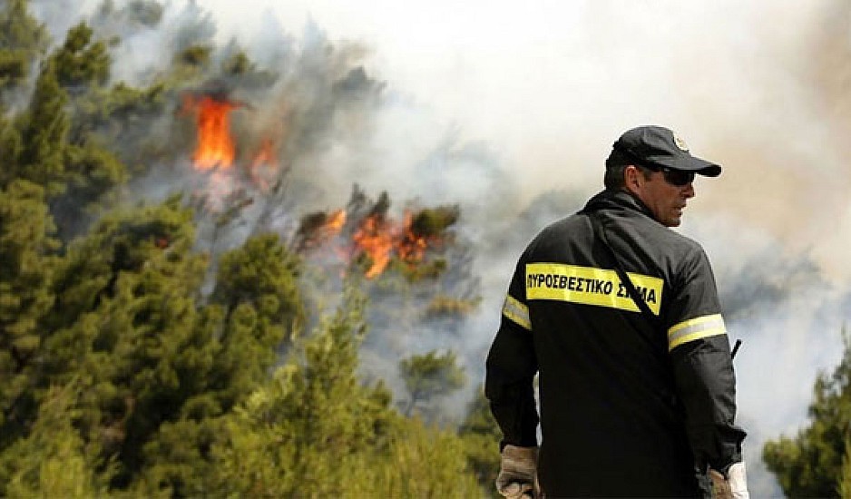 Πυρκαγιά στην Ιτέα - Υπό μερικό έλεγχο η φωτιά στην Κερατέα