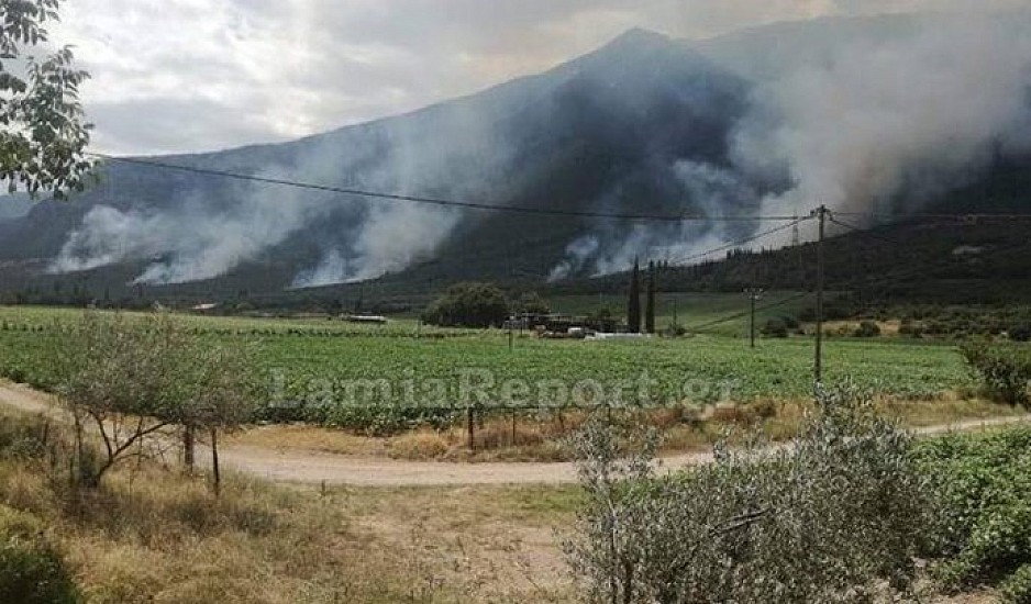 Φωτιά στην Τιθορέα Φθιώτιδα: Με τέσσερις εστίες δίνουν μάχη οι πυροσβέστες