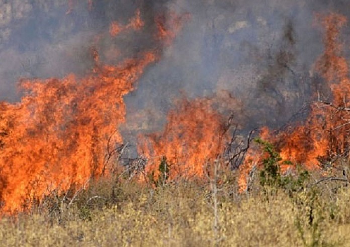 Αγρίνιο: Σε εξέλιξη φωτιά σε χαμηλή βλάστηση – Σηκώθηκαν δύο αεροσκάφη