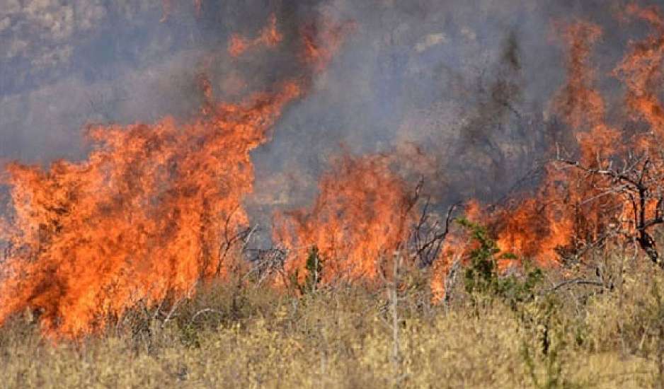 Φωτιά στη Λάγια Ανατολικής Μάνης