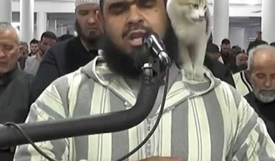 Viral το βίντεο με την γάτα που πήδηξε πάνω στον ιμάμη την ώρα που προσευχόταν