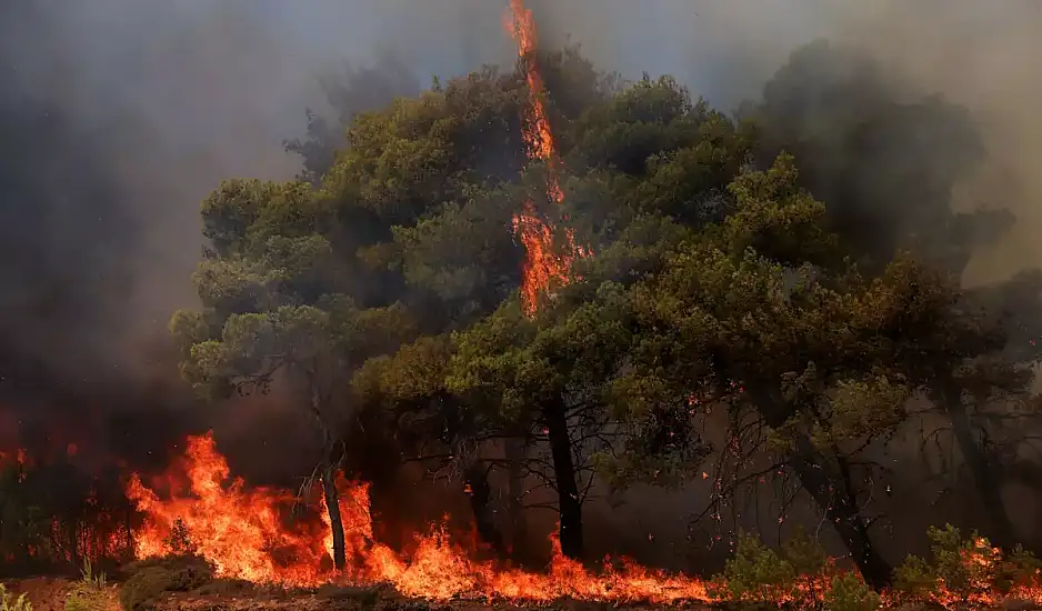 Εύβοια: Από χορτοκοπτικό ξεκίνησε η φωτιά στην Κάρυστο, μια σύλληψη