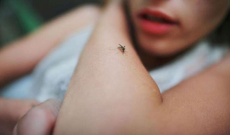 Έρχονται στη Δύση τέσσερις από τις πιο θανατηφόρες ασθένειες λόγω κλιματικής αλλαγής