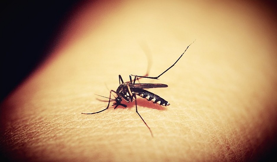 Τι θα συνέβαινε στον κόσμο αν εξαφανίζονταν όλα τα κουνούπια;