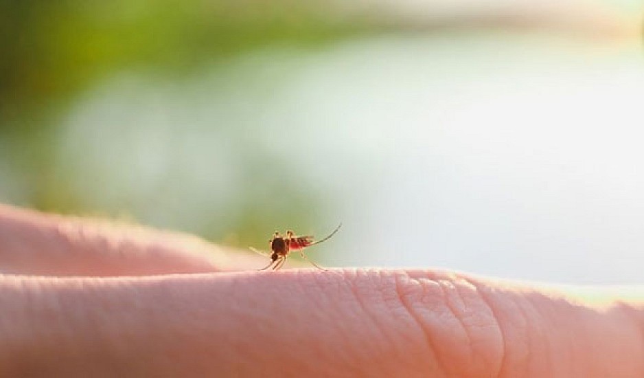 Κουνούπια: Γιατί τσιμπούν εσάς και όχι τον διπλανό σας;