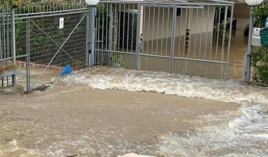 Πλημμυρισμένα σπίτια, νεκρά ζώα και κατεστραμμένες καλλιέργειες στην Ηλεία