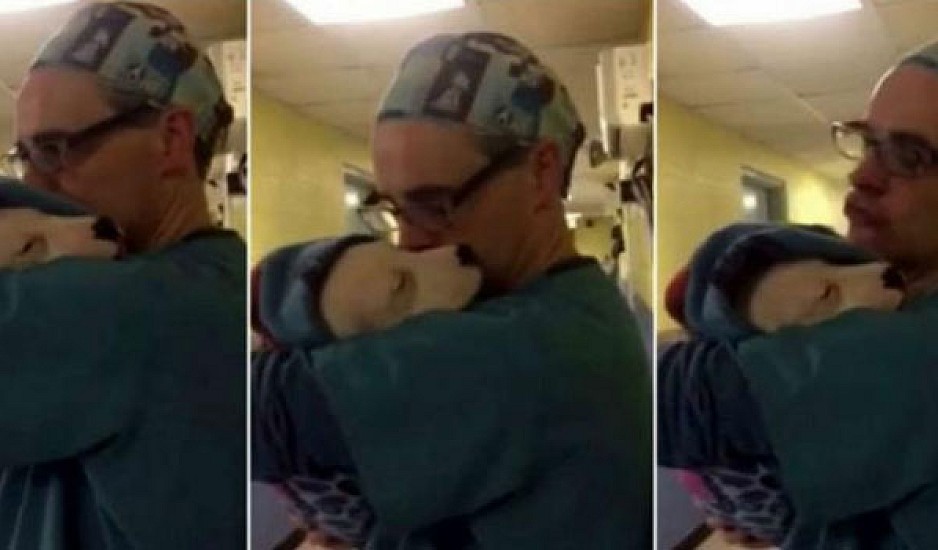 Kουτάβι τρομάζει και κλαίει μετά το χειρουργείο, τότε ο κτηνίατρος το αγκαλιάζει σαν μωρό