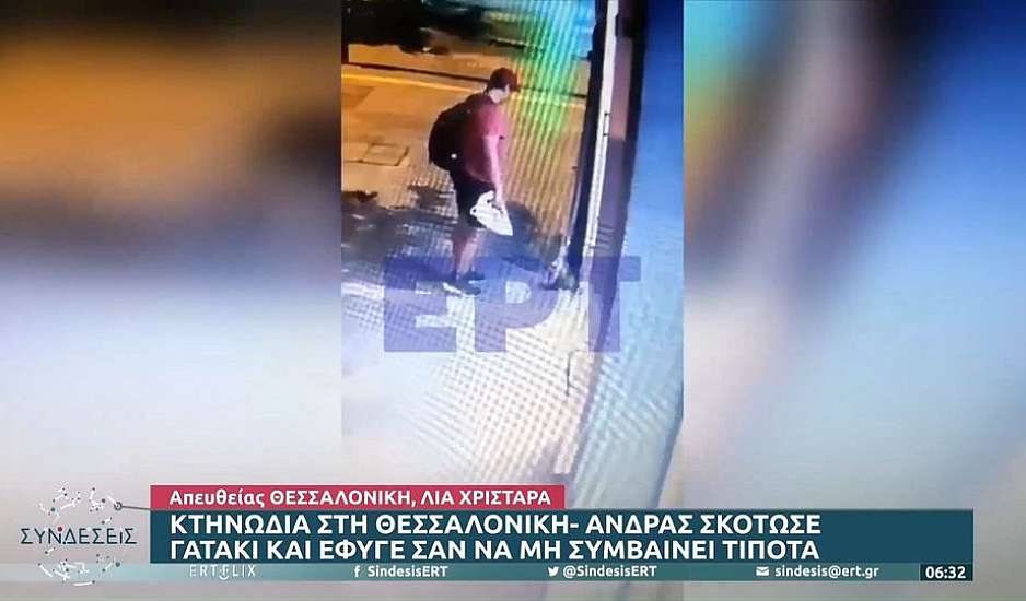 Κτηνωδία στη Θεσσαλονίκη - Άνδρας σκότωσε γατάκι και έφυγε σαν να μην συμβαίνει τίποτα