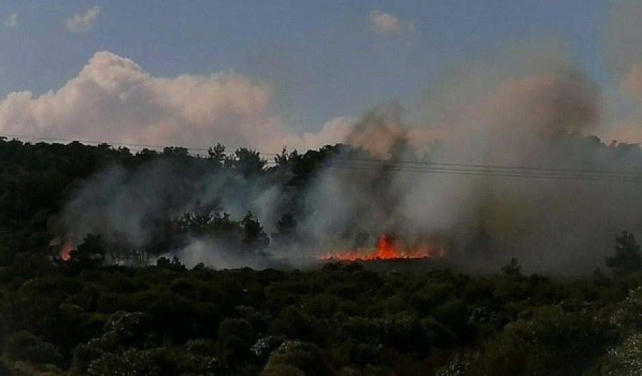 Λέσβος: Νέες συγκρούσεις κατοίκων με ΜΑΤ και φωτιά στο δάσος