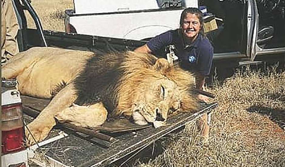 Λιοντάρια κατασπάραξαν γυναίκα που δούλευε στο κλουβί τους
