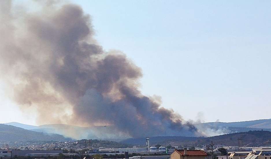 Υπό έλεγχο η πυρκαγιά στη Μάνδρα Αττικής - Προσαγωγή 55χρονης