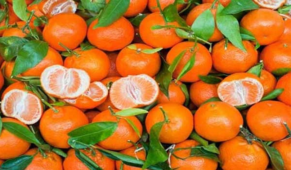 Μανταρίνι: Ο μικρός αδερφός του πορτοκαλιού με τα πολλαπλά οφέλη σε σώμα και αδυνάτισμα