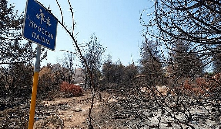 Μάτι: Αυτός είναι ο κυβερνητικός απολογισμός για τα μέτρα ένα μήνα μετά την πυρκαγιά