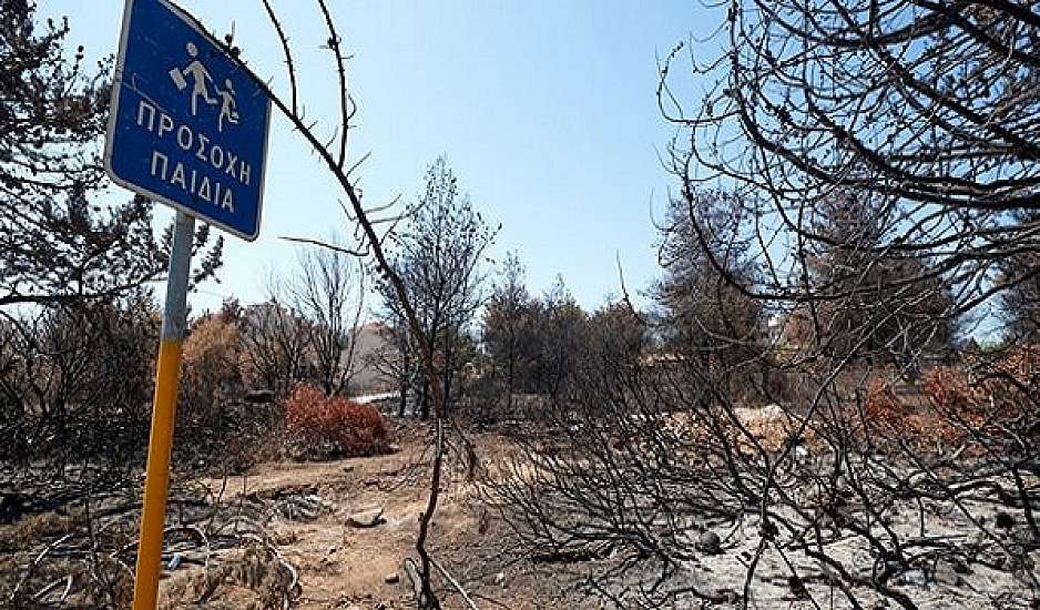 Αγώνας στη μνήμη του Πάρη Κατσουλάκη που χάθηκε στη φονική πυρκαγιά στο Μάτι