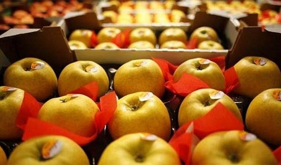 Με αυτόν τον τρόπο πρέπει να τρώμε τα μήλα για να λαμβάνουμε όλα τα θρεπτικά συστατικά τους
