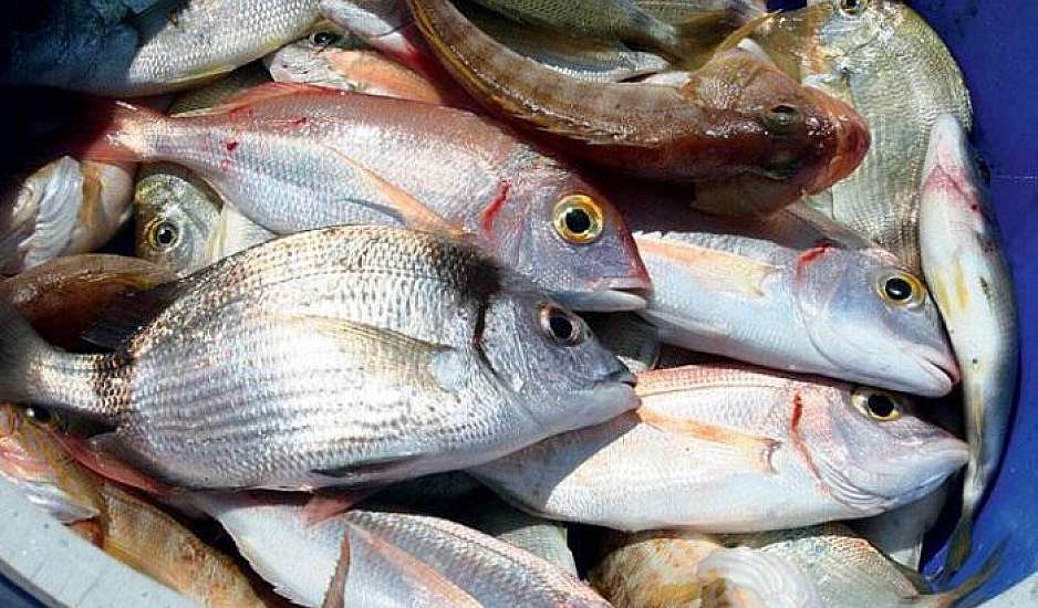 Νέα επιστημονική έρευνα: Αυξημένος ο κίνδυνος για μελάνωμα λόγω μεγάλης κατανάλωσης ψαριών