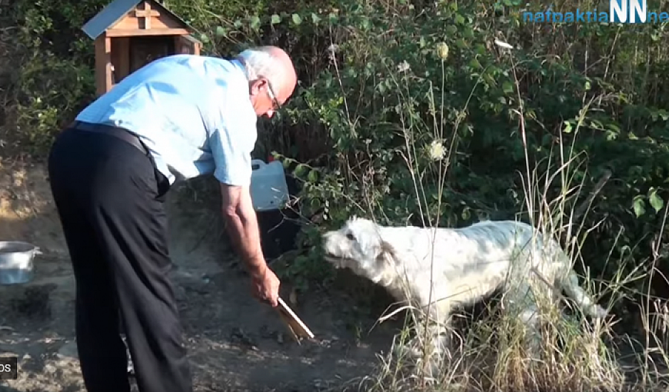 Ναυπακτία - Γαβρολίμνη: O σκύλος που μένει 18 μήνες εκεί που σκοτώθηκε το αφεντικό του
