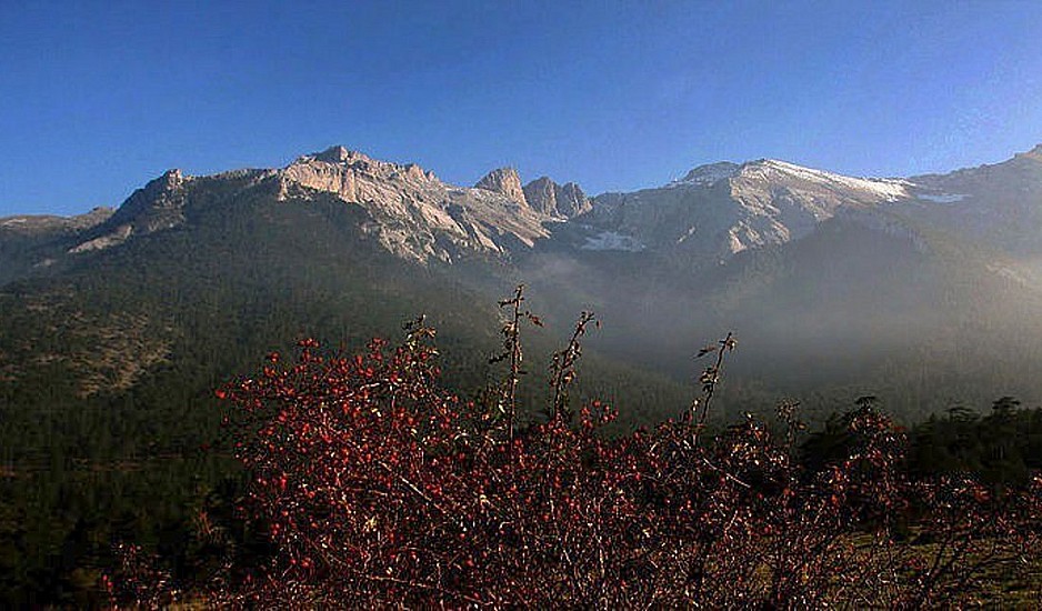Συναγερμός για ορειβάτες στον Όλυμπο που χάθηκαν μετά το χτύπημα χιονοστιβάδας
