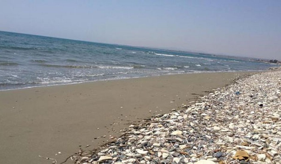 Σε άνδρα ανήκουν τα οστά που εντοπίστηκαν σε παραλία στην Κύπρο