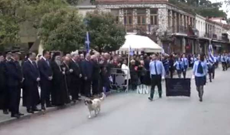 Σκύλος συμμετείχε στην παρέλαση μαζί με τους μαθητές! Βιντεο