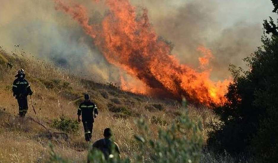 Φωτιά στον Τρίλοφο Θεσσαλονίκης: Ο πρόεδρος της κοινότητας αναφέρει πώς βρέθηκαν εμπρηστικοί μηχανισμοί