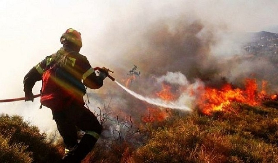 Εύβοια: Φωτιά στο Βασιλικό - Kοντά σε σπίτια
