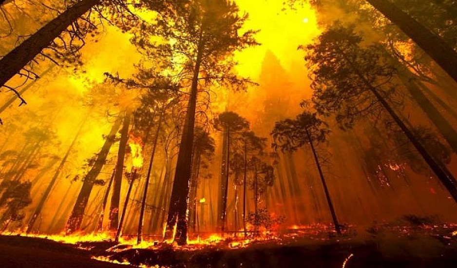 Υψηλός φέτος ο κίνδυνος για εκτεταμένες δασικές πυρκαγιές σε όλη την Ευρώπη