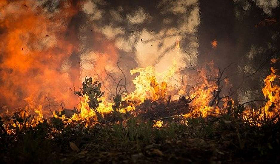 Φωτιές: Το κράτος αγνόησε το σχέδιο του Μετσοβίου Πολυτεχνείου για την αντιμετώπιση δασικών πυρκαγιών