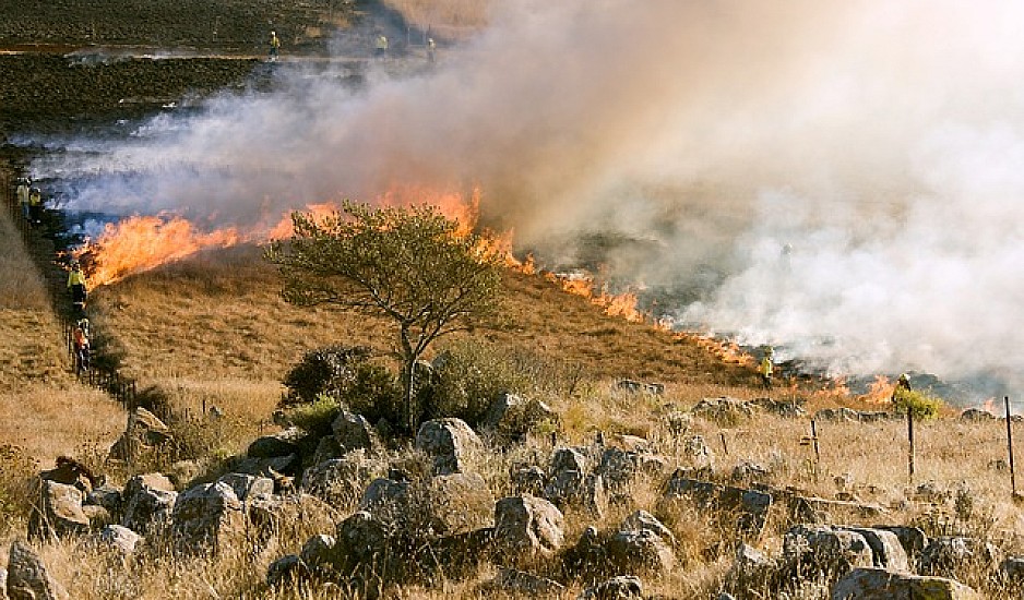 Φωτιά στις Κεχριές - Διάσπαρτες εστίες, αναζωπυρώσεις και ισχυροί άνεμοι