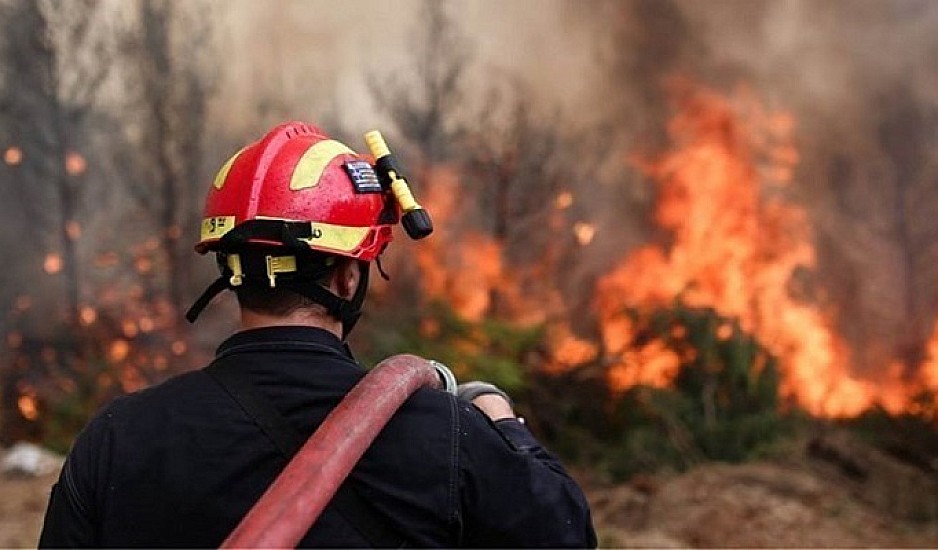 Μεγάλη φωτιά στη Βόνιτσα: Οι καπνοί έχουν σκεπάσει την Αιτωλοακαρνανία