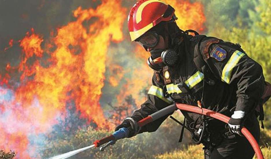 Φωτιά τώρα στα Οινόφυτα: Πύρινο μέτωπο κοντά στα διόδια
