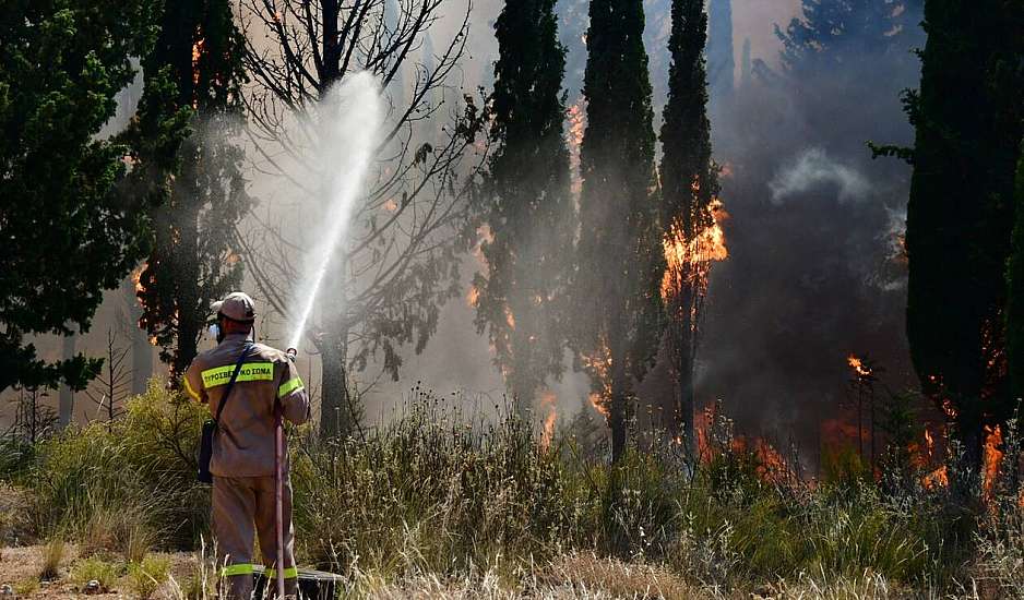Οι δυσκολίες κατάσβεσης της πυρκαγιάς στο Παπίκιο Όρος Ροδόπης