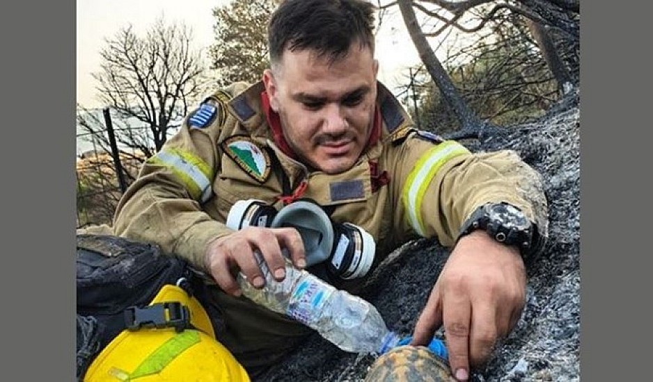 Viral ο πυροσβέστης από τη φωτιά στην Αχαΐα - Δίνει νερό σε χελώνα
