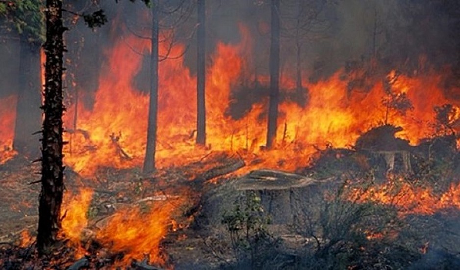 Μεγάλη φωτιά  σε δασική έκταση στα Μέγαρα