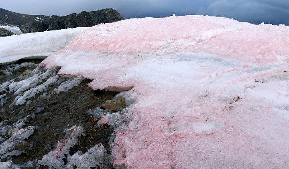 Ροζ χιόνι στις ιταλικές Άλπεις προκαλεί ανησυχία στους επιστήμονες