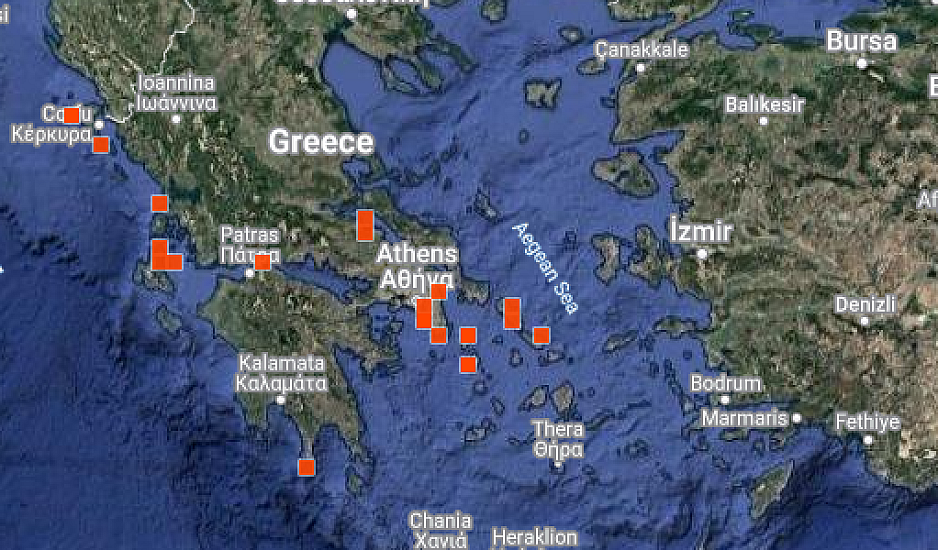 Μωβ μέδουσες στις ελληνικές παραλίες: Καλά τα νέα – Τι δείχνουν οι καταγραφές του τελευταίου 10ημέρου