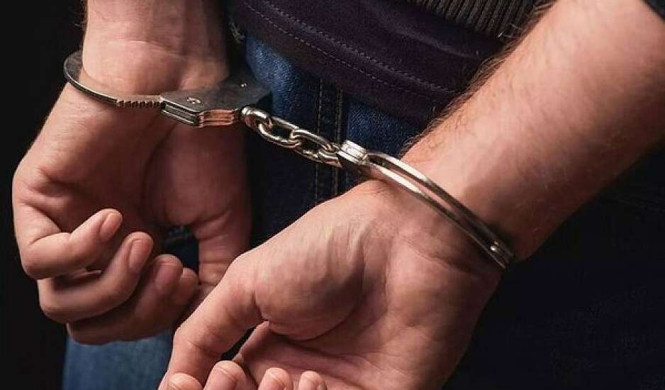 Φωτία στην Αλυκή Βοιωτίας: Σύλληψη 55χρονου μελισσοκόμου