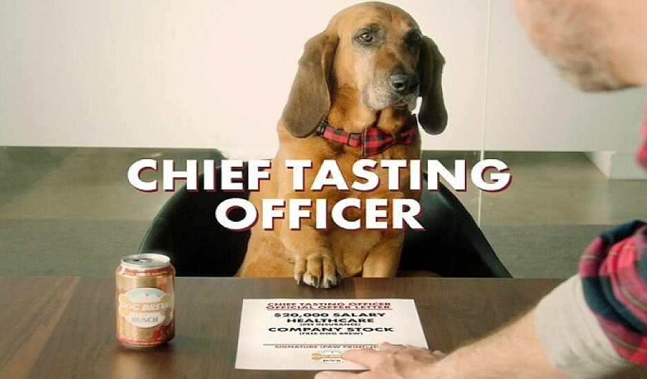 Εταιρεία έφτιαξε μπύρα για σκύλους και ζητά δοκιμαστή με μισθό 20.000 δολάρια